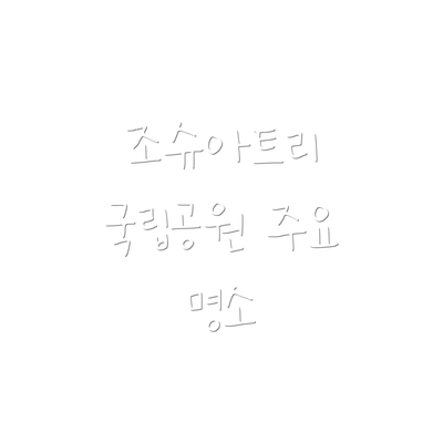 조슈아트리 국립공원 주요 명소