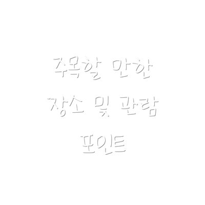 주목할 만한 장소 및 관람 포인트