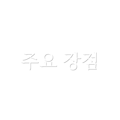 주요 장점