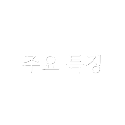 주요 특징