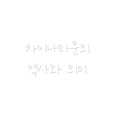차이나타운의 역사와 의미