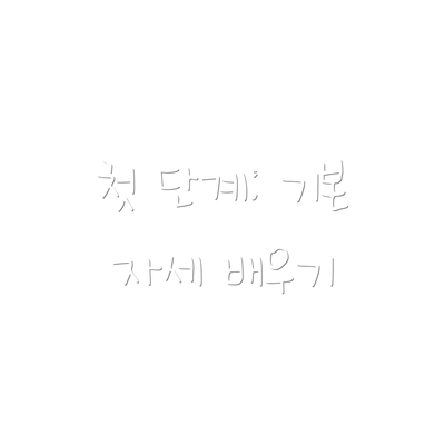 첫 단계: 기본 자세 배우기