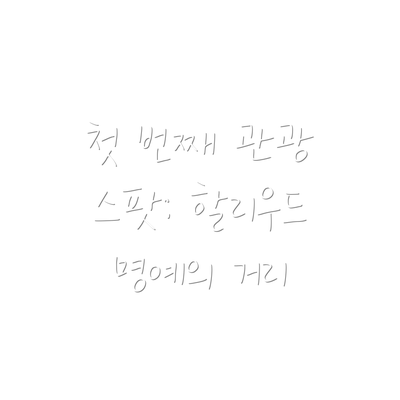 첫 번째 관광 스팟: 할리우드 명예의 거리