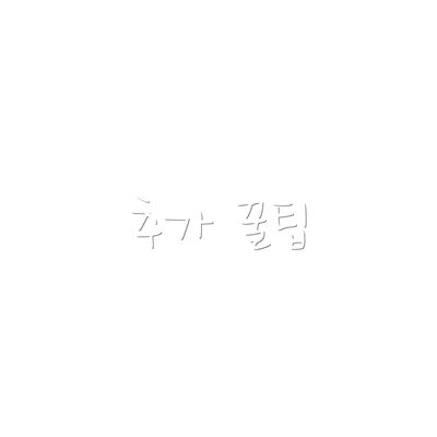 추가 꿀팁