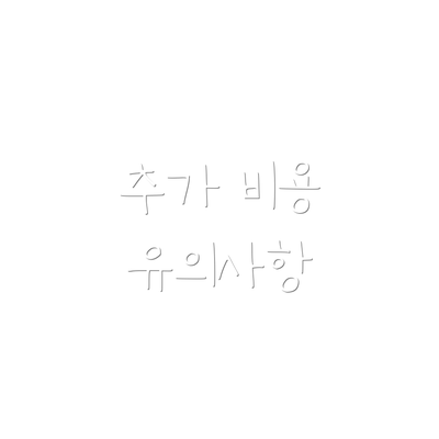 추가 비용 유의사항