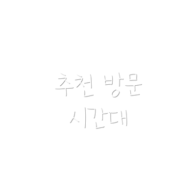 추천 방문 시간대