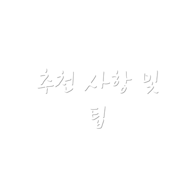 추천 사항 및 팁