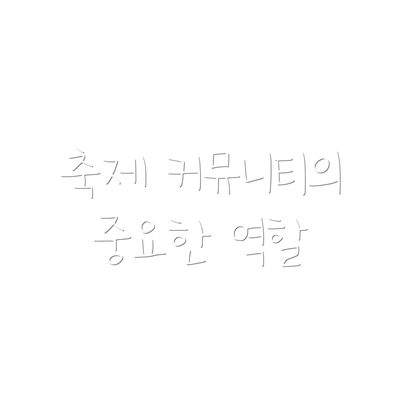 축제 커뮤니티의 중요한 역할