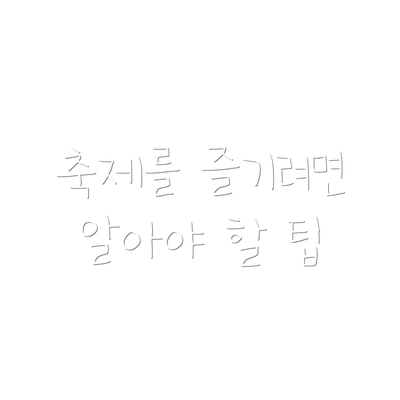 축제를 즐기려면 알아야 할 팁