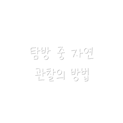 탐방 중 자연 관찰의 방법