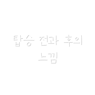 탑승 전과 후의 느낌