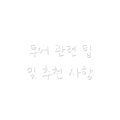 투어 관련 팁 및 추천 사항