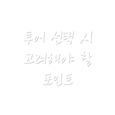 투어 선택 시 고려해야 할 포인트