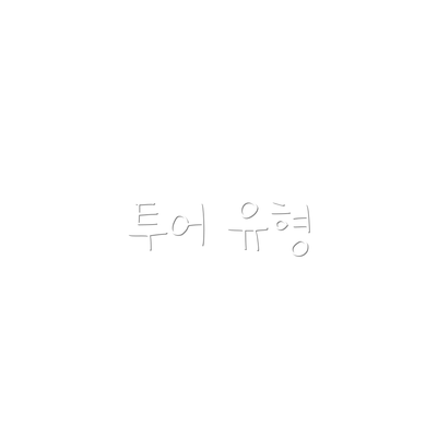 투어 유형