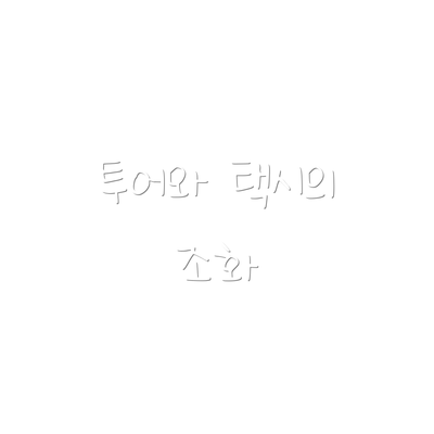투어와 택시의 조화
