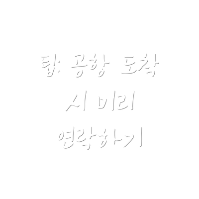팁: 공항 도착 시 미리 연락하기