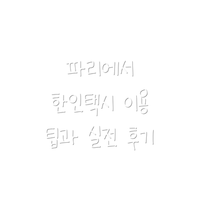 파리에서 한인택시 이용 팁과 실전 후기