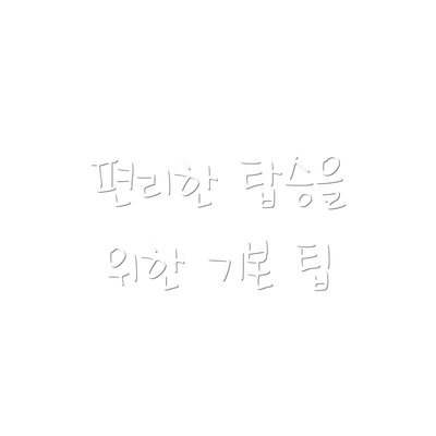 편리한 탑승을 위한 기본 팁