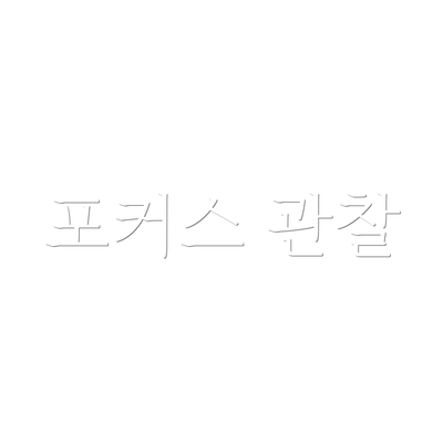 포커스 관찰