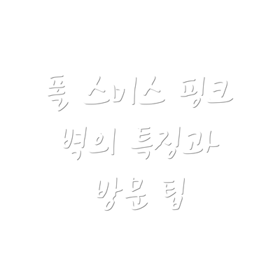 폴 스미스 핑크 벽의 특징과 방문 팁