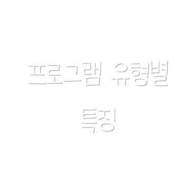 프로그램 유형별 특징