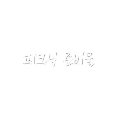 피크닉 준비물