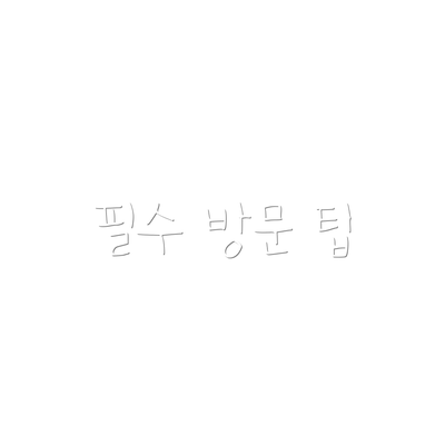 필수 방문 팁