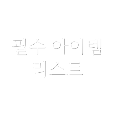 필수 아이템 리스트