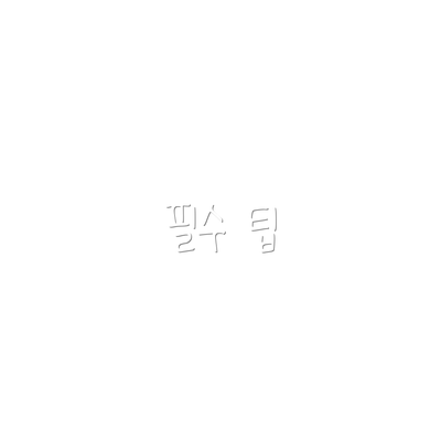 필수 팁