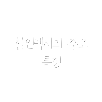 한인택시의 주요 특징