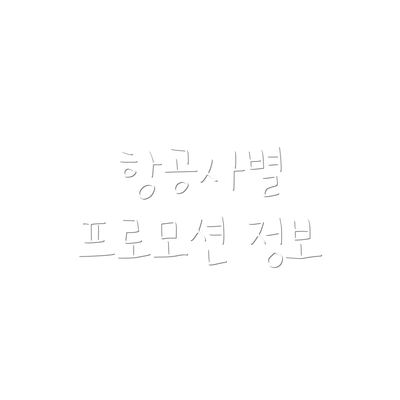 항공사별 프로모션 정보