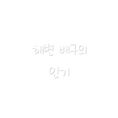 해변 배구의 인기