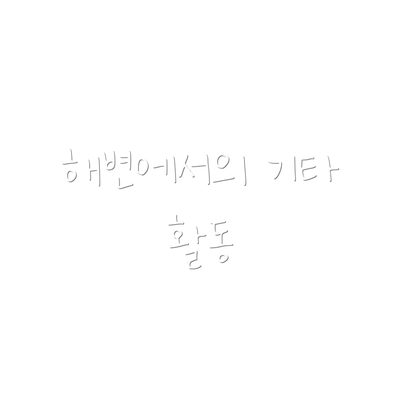 해변에서의 기타 활동