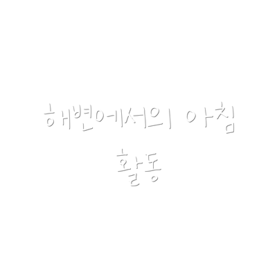 해변에서의 아침 활동