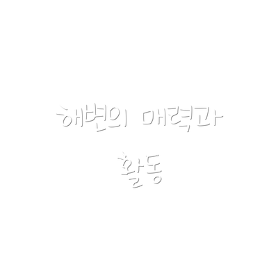 해변의 매력과 활동