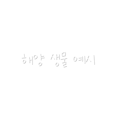 해양 생물 예시