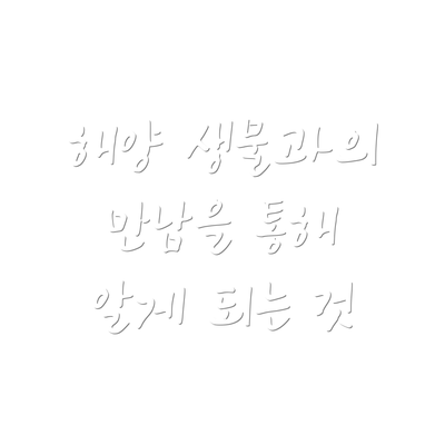 해양 생물과의 만남을 통해 알게 되는 것