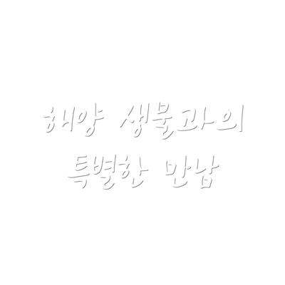 해양 생물과의 특별한 만남