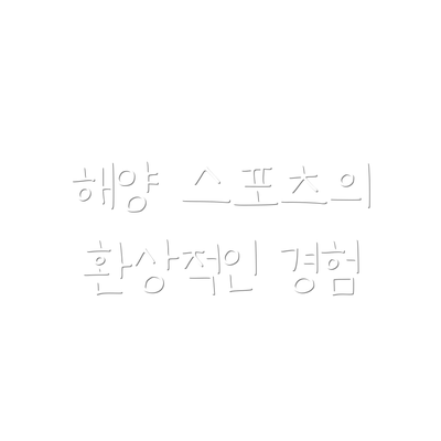 해양 스포츠의 환상적인 경험