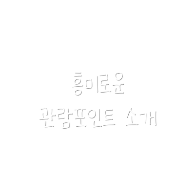 흥미로운 관람포인트 소개